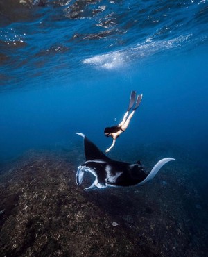Ticket Nusa Penida Paket Tour Nusa Penida 1 Hari 1 Malam + Snorkeling
