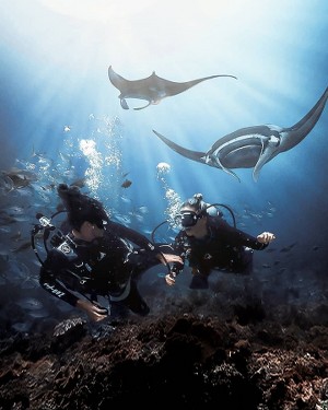 Ticket Nusa Penida Tour Nusa Penida Snorkeling Full Day