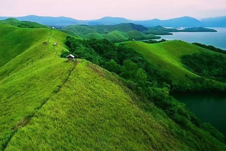 Teletubbies-Hill-Melonteng